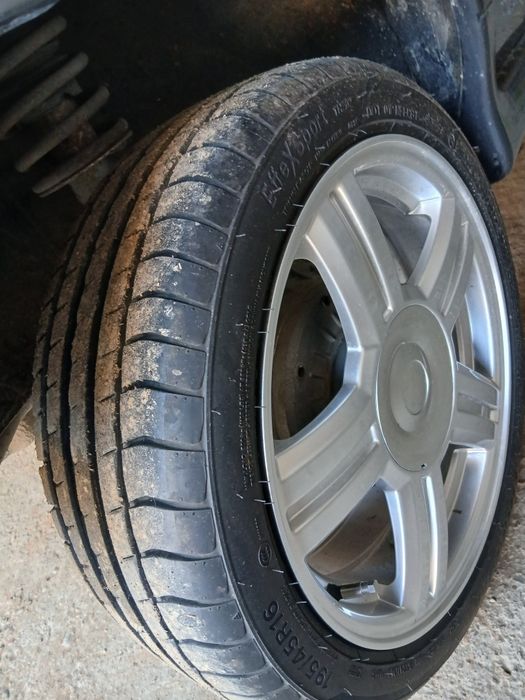 Торус жағдайы жақсы