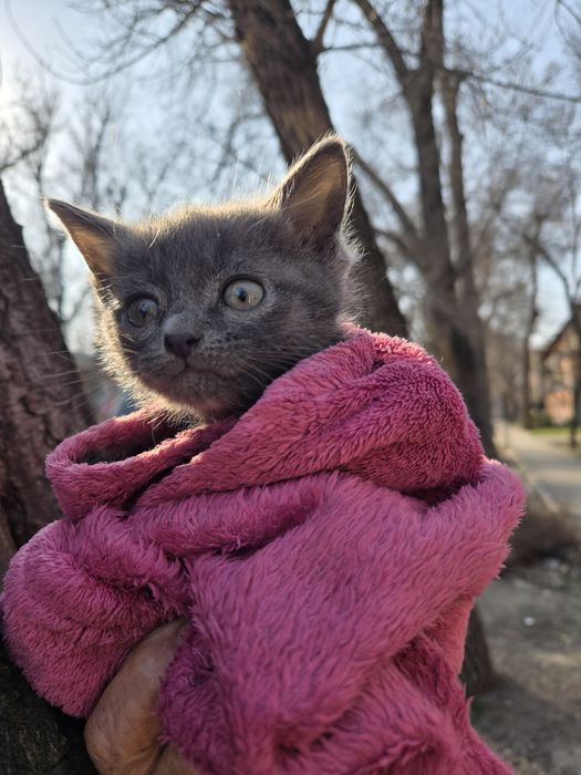 Пролам не дорого