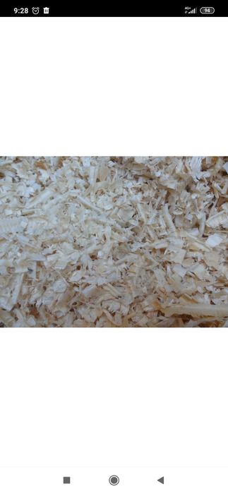 Продам стружку сосновую