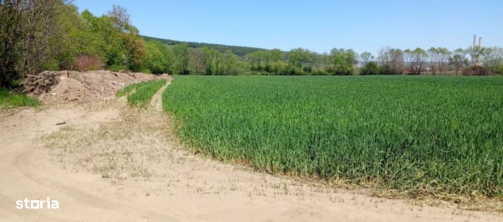 Teren intravilan, 41  ari, zona centurii