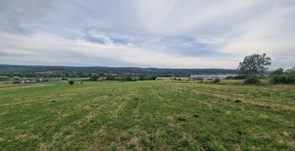 Teren 6.400 mp de vânzare – Mioveni, Racovița – 2.517 mp intravilan