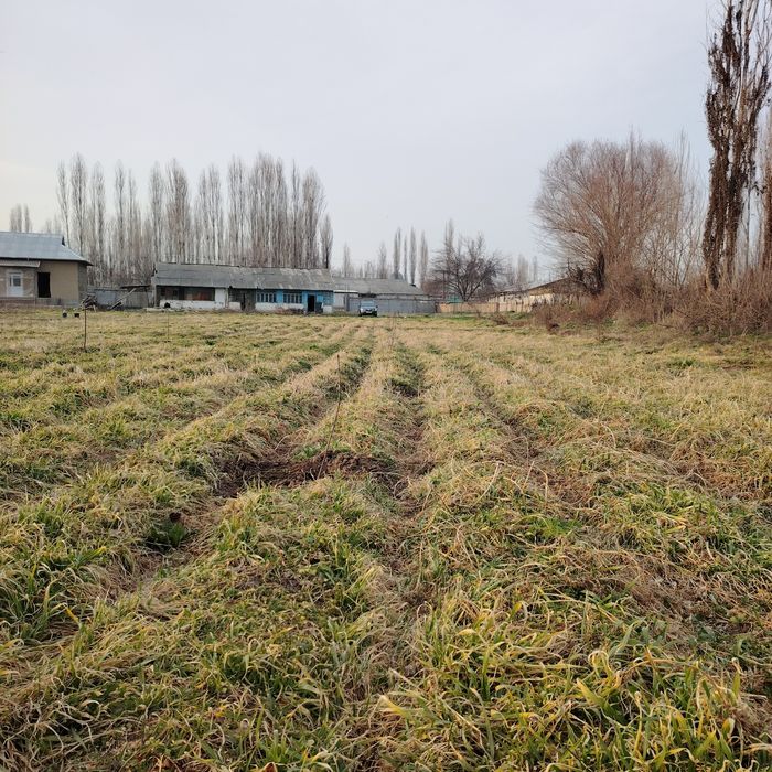 Тошкент вилояти, Бўка туманида 33 сотихли ер майдони сотилади.