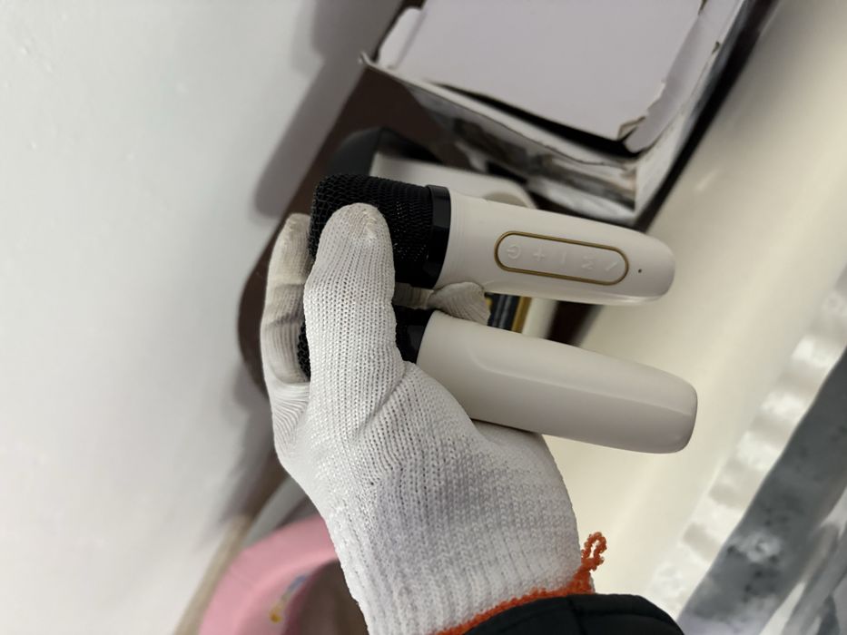 Караоке с микрофоном