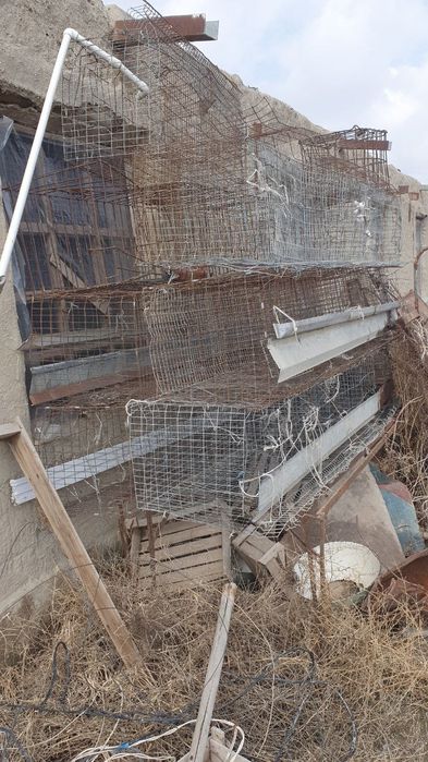 Broller kletkalar sotiladi manzil Navoiy navbahor