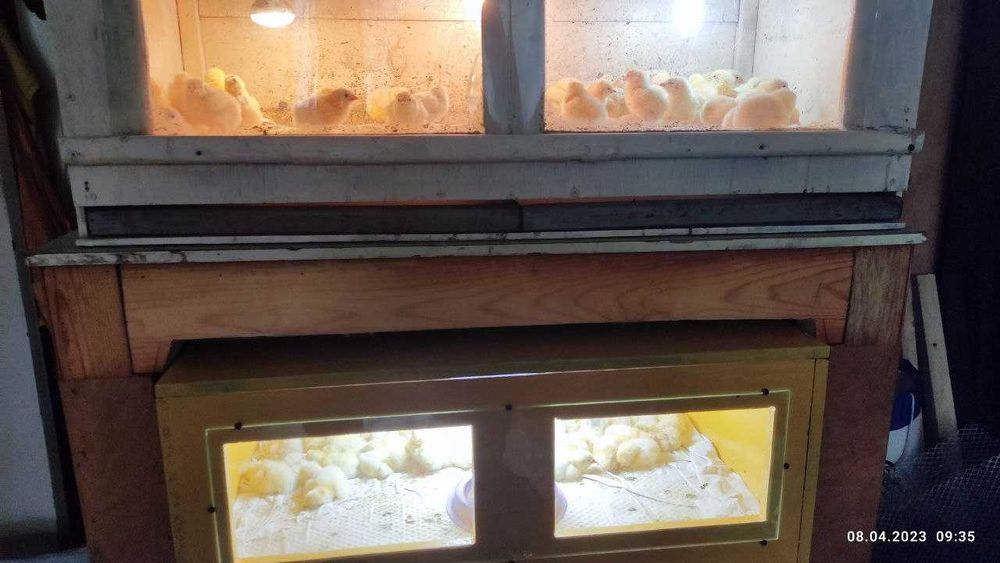 Услуги Инкубатора