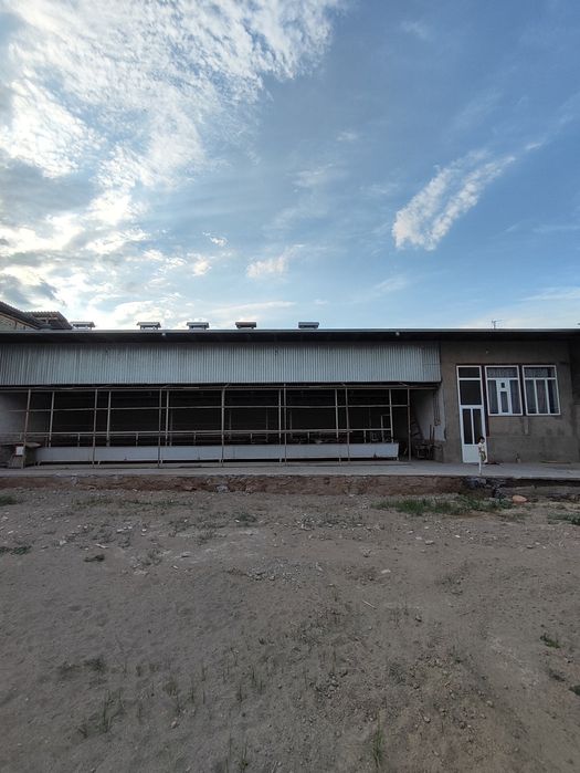 Uy sotiladi 11 sotix