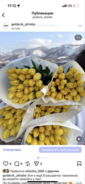 Лучшие тюльпаны с голландской луковицы