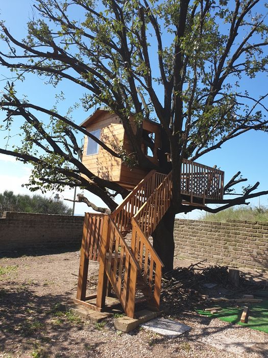 Tâmplar/parchetar cu experiență