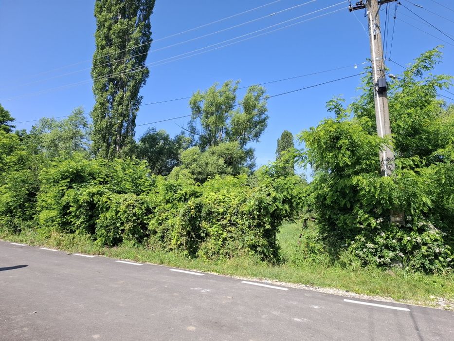 Teren intravilan cu toate utilitatile