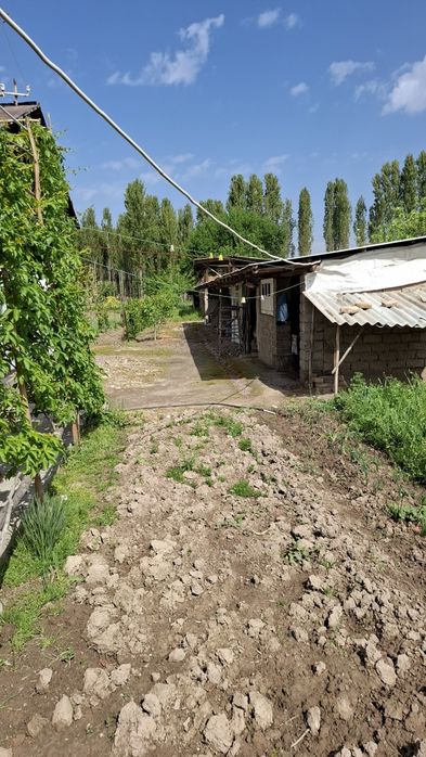 Orta chirchiq tumani  Darxon maxalasi 157uy