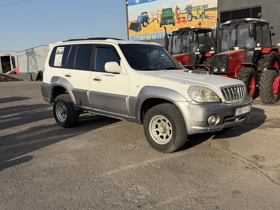 Hyundai Terracan 2001 гола