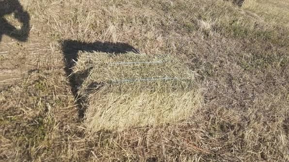 Baloți de fân de vânzare – calitate excelentă!