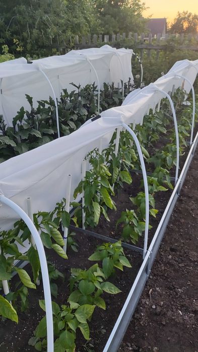 Продам дачу Каучук