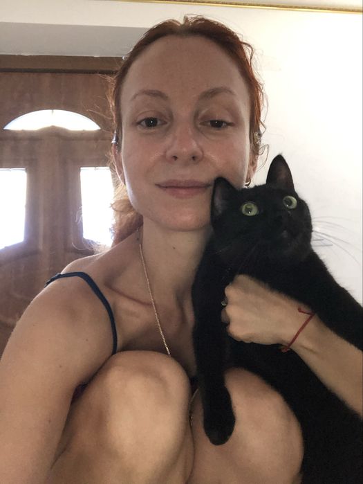 Cazare pisici  si motani