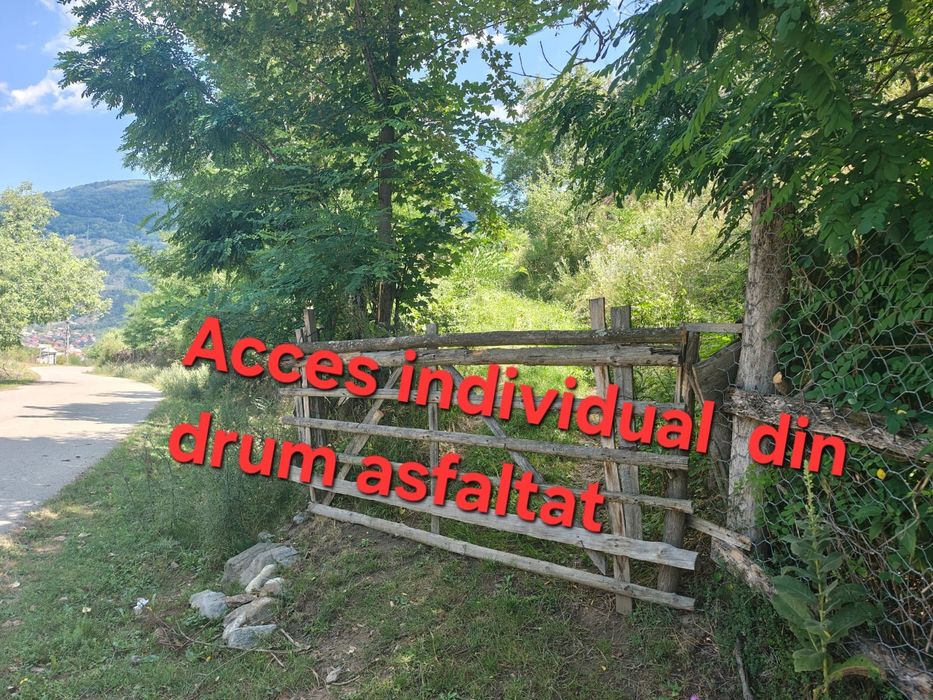 Teren casa /cabana /A-frame / Valea Oltului - 1 2€