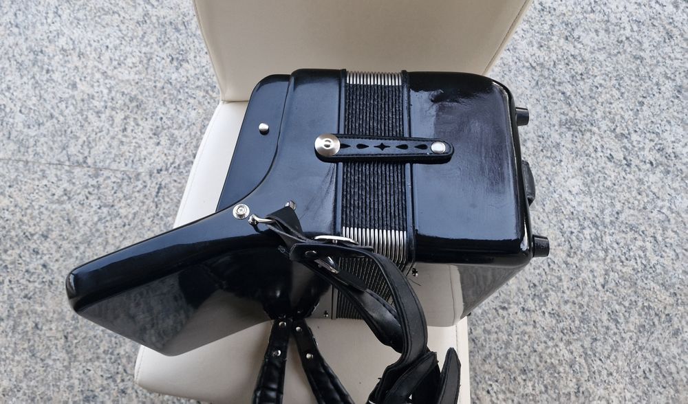 Acordeon Parrot cu 48 basi negru