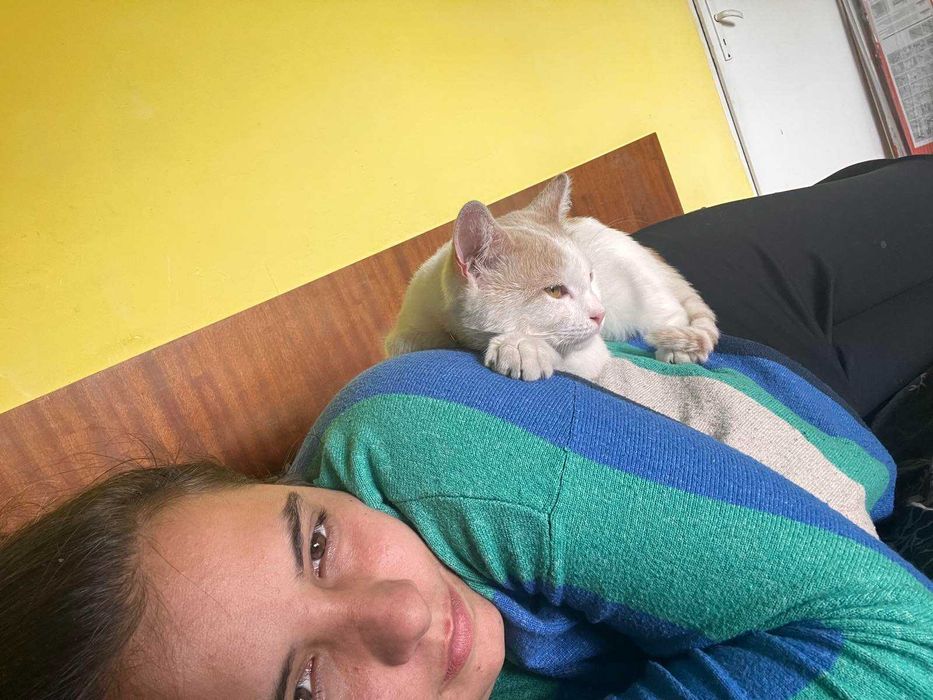 КОТАК търси любящ дом