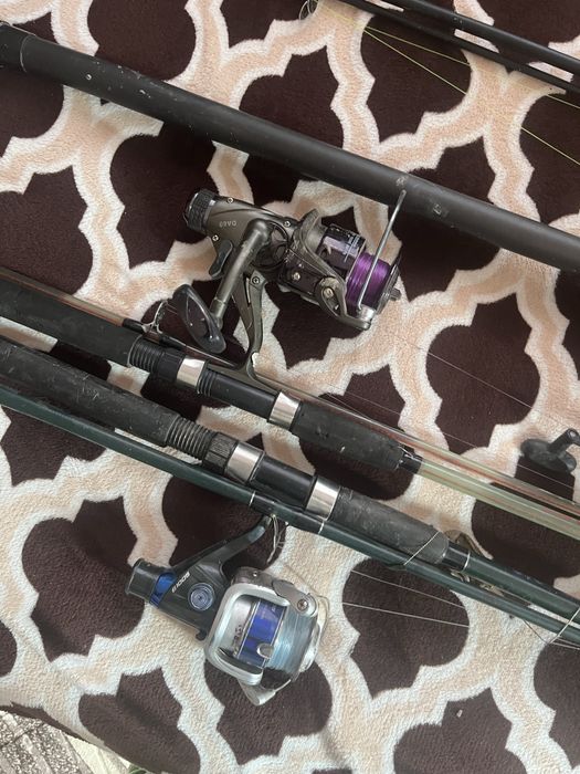 vand undite stare fiarte buna