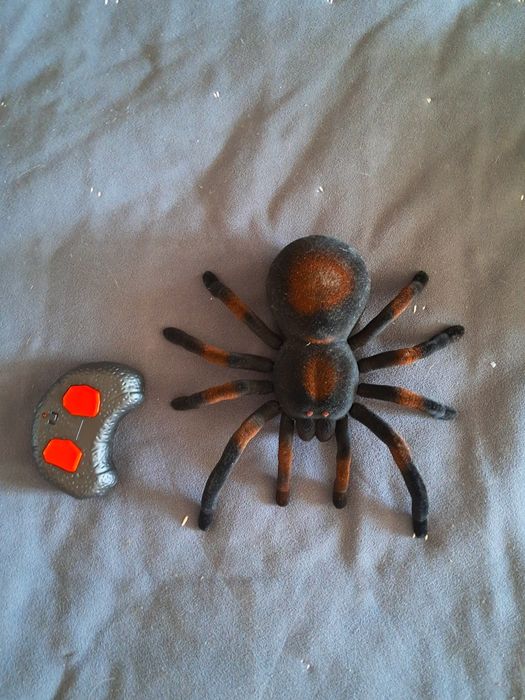 Продам паука ,ходит.