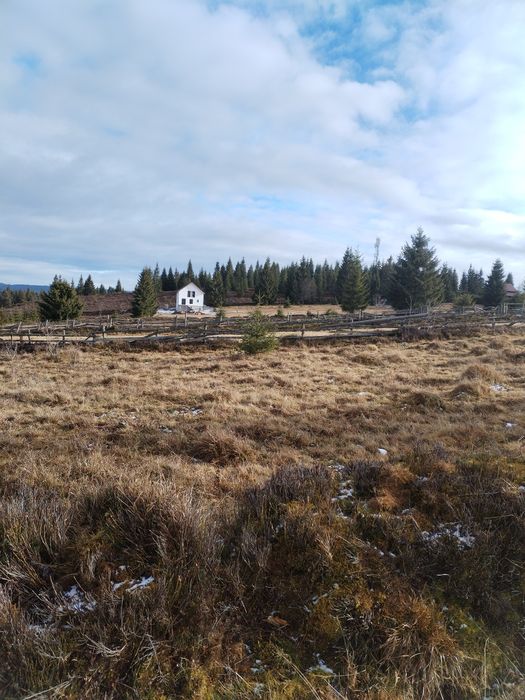 Vând teren intravilan comuna Beliș sat Balcesti judetul Cluj