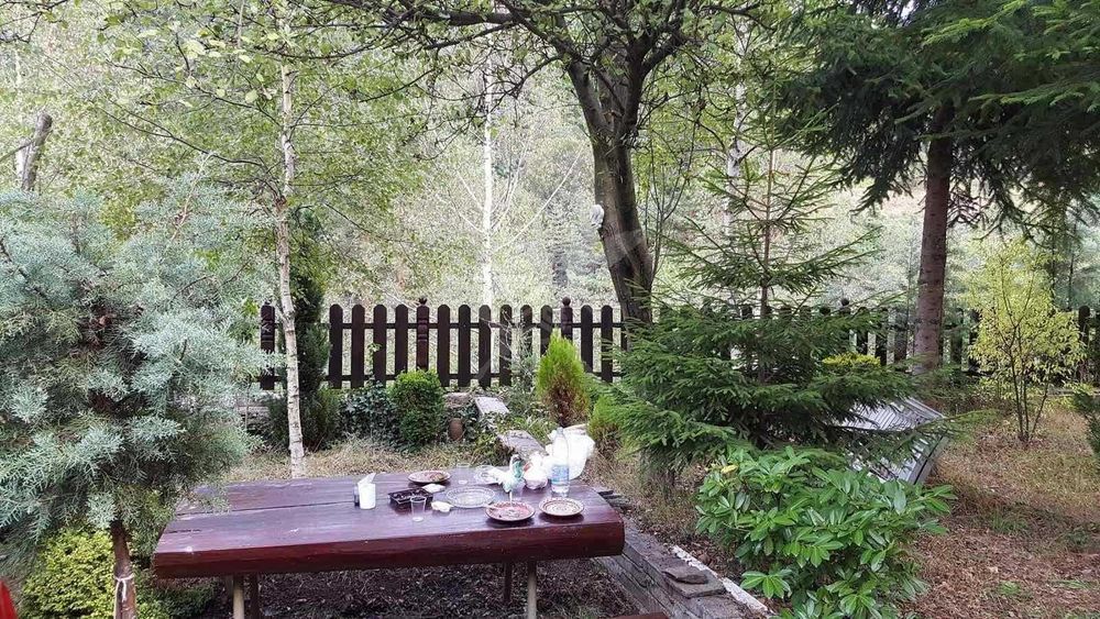 Райско местенце в Бойково- басейн, градина, вила.