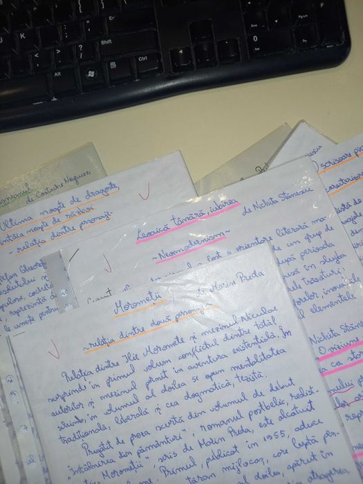 Referate / Caracterizari        Opere Literare   liceu - BAC