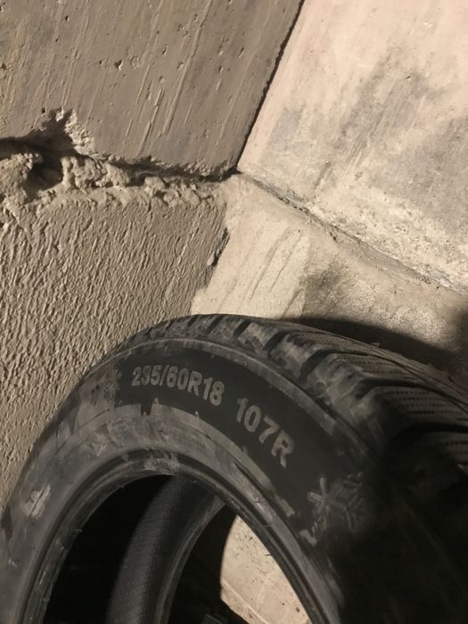 Шины зимние. Triangle