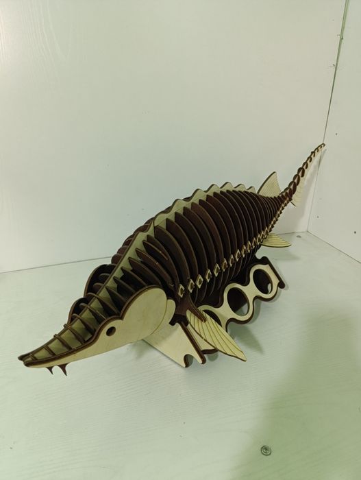 Осетр с местом для бутылки вина