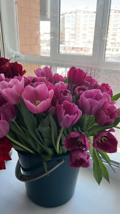 Цветы букеты тюльпаны