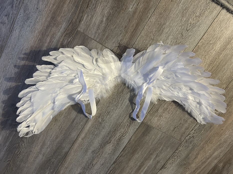 Aripi de ingeras pentru copii