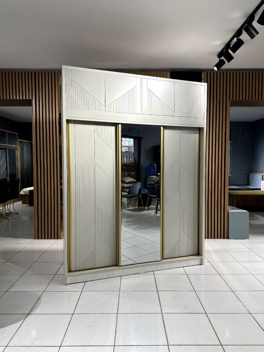 Шкаф купе Shkaf крашеный ( 2 )