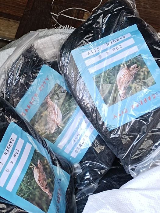 Бедана тури bedana tori