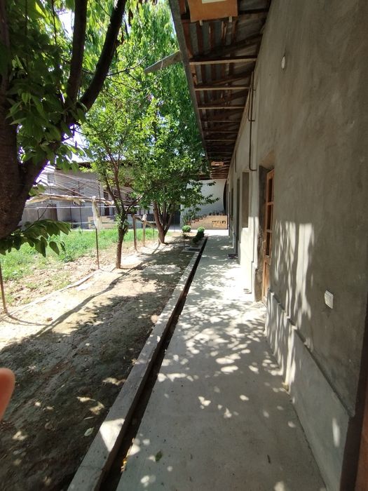 Xasanboyda yer narxida uchastka sotiladi