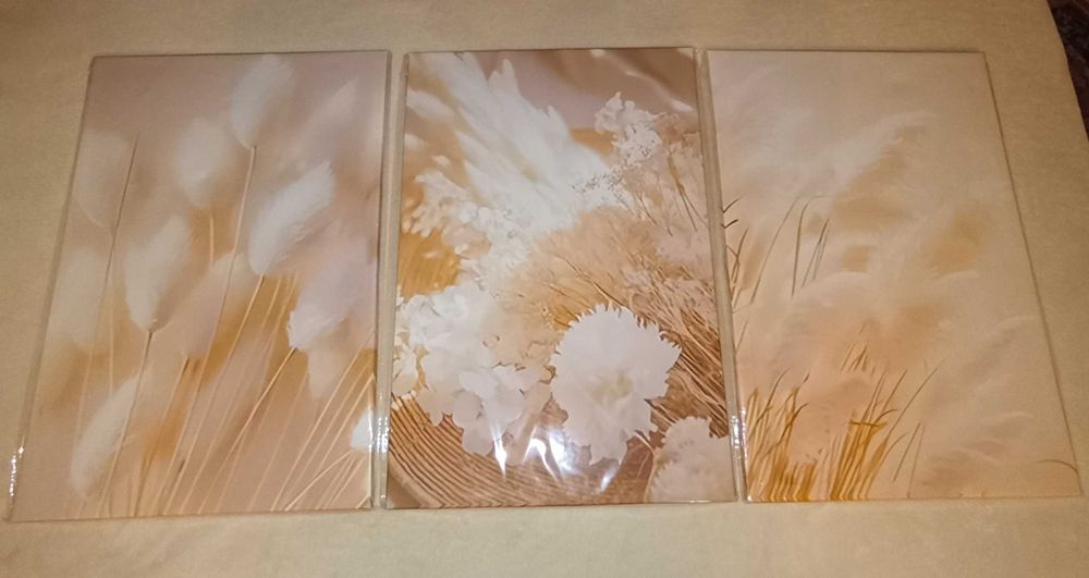 Три картини - КОМПЛЕКТ - СУПЕР изгодно !