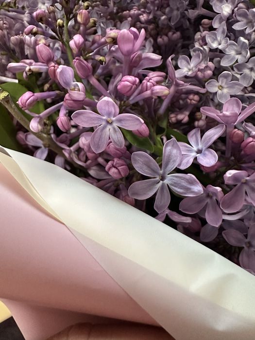 Пышные букеты сирени!