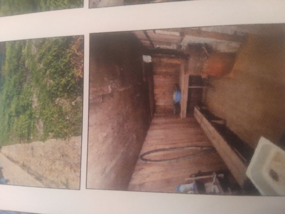 Продам дачу с/о буревестник