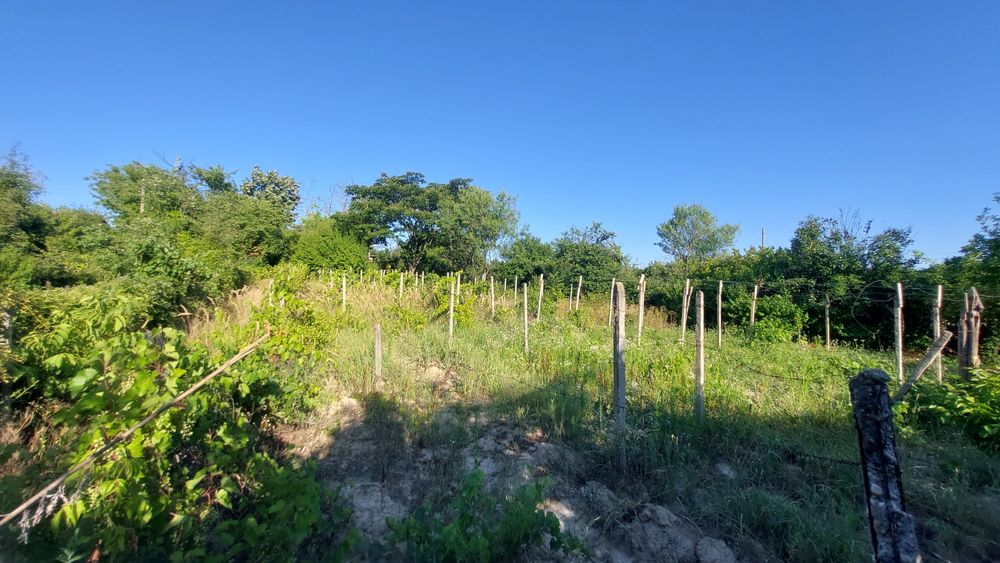 Продава се Парцел в Русе, Долапите - 875 кв.м за 5 €/кв.м - Снимка #5