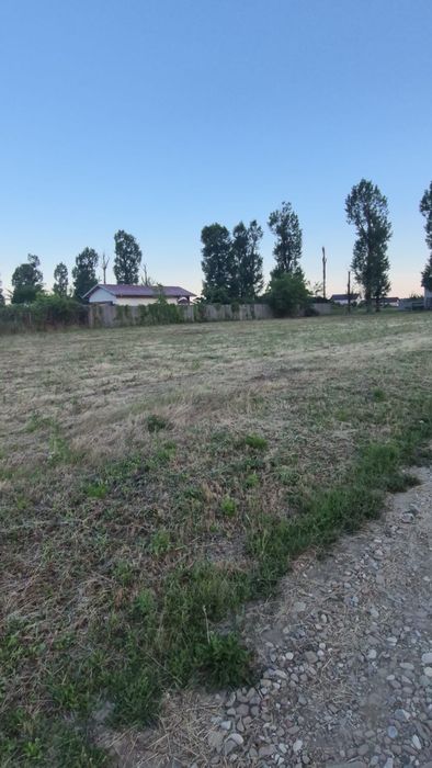 Teren de vanzare Ilfov 500 mp