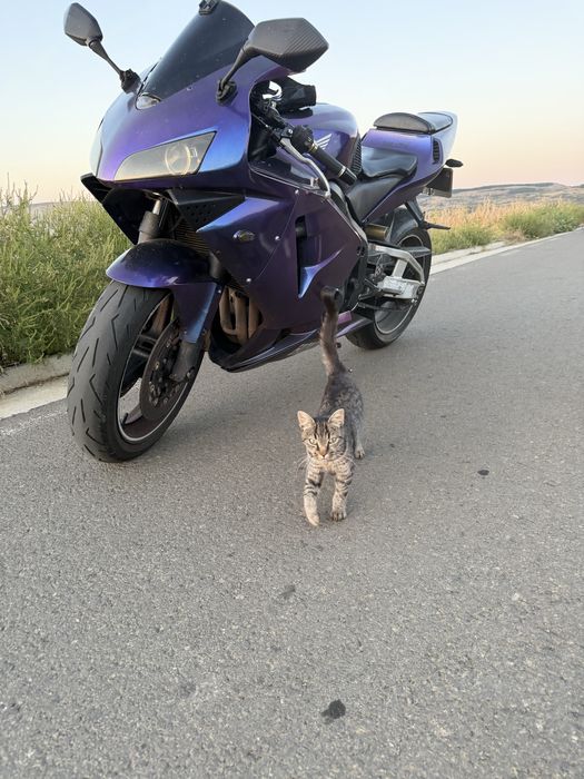 Vand honda cbr600rr