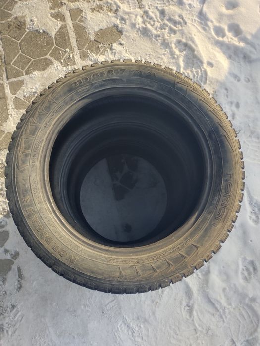 215 55 р17 зимние