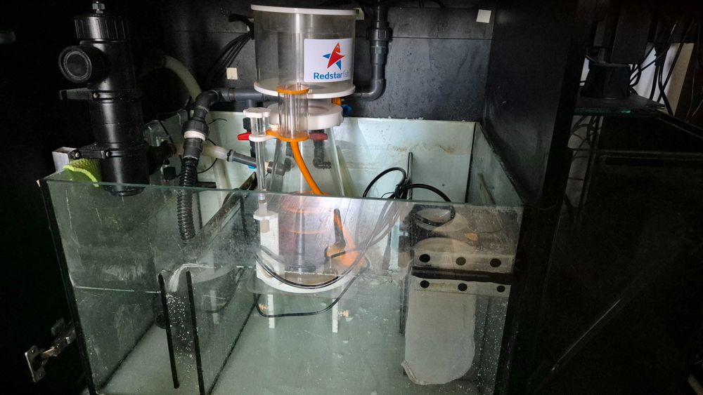 Redsea Reefer 420 xl v1