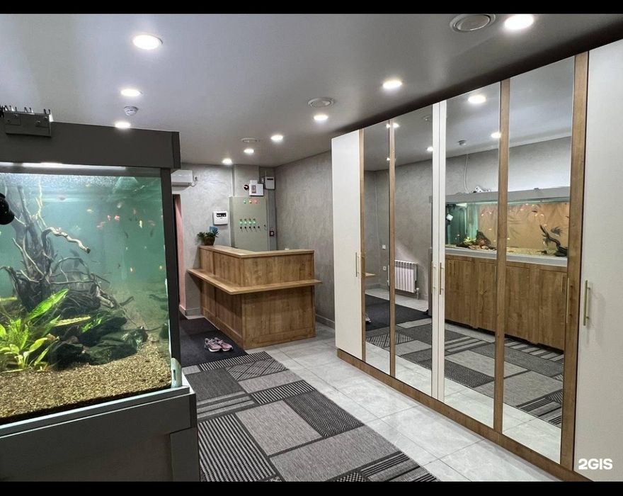 Хостел спутник на Момушулы толеби