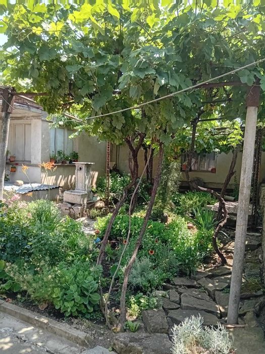 Продава се Къща в с. Козаревец, Област Велико Търново - 1060 кв.м за 41 €/кв.м - Снимка #1