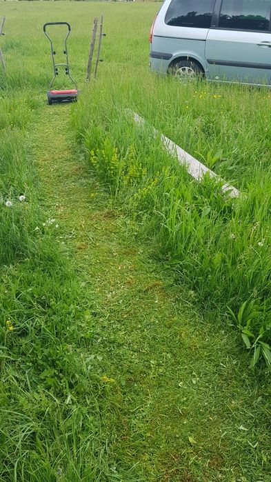 Vand cositoare manuala Einhell