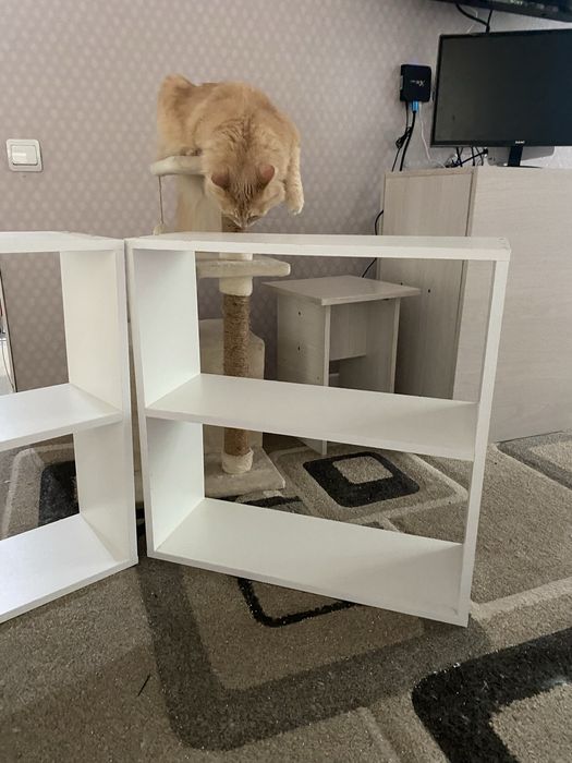 Две полки мебельные