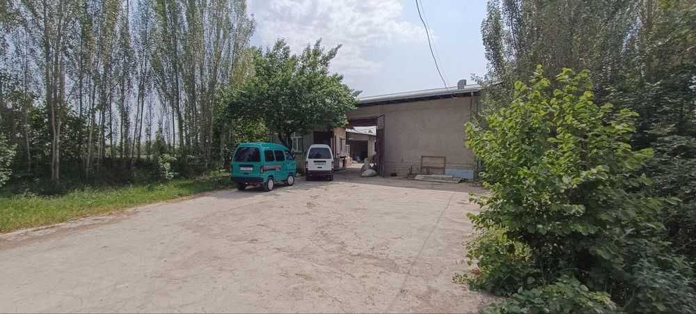 Ferma sotiladi 10 sotik