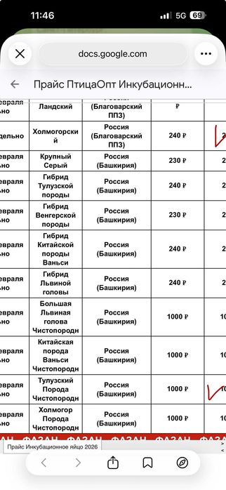 Zotdor G‘oz va tuxumlari sotiladi