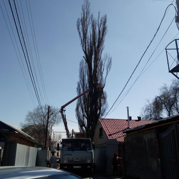 Спил и обрезка деревьев!!!