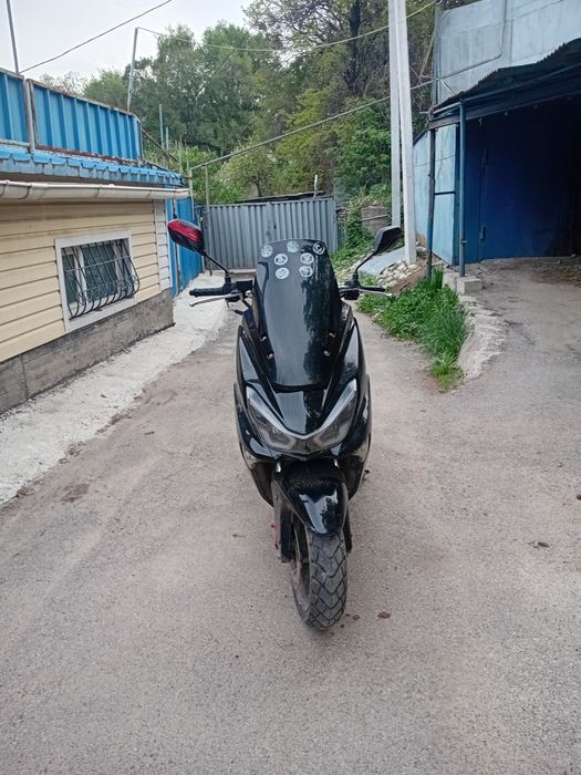 Мопед zibaniy49cc самурай продам