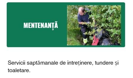 Amenajari terase și grădini. Curățare si toaletare pomi. Întreținere